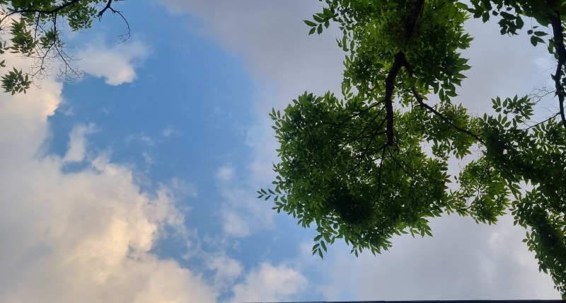 20260514_184737.jpg
