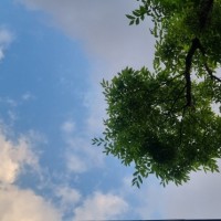 20260514_184737.jpg