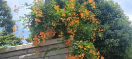 20260707_133852.jpg