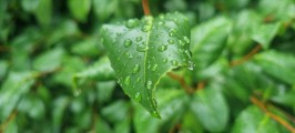 20260717_125922.jpg