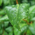 20260717_125922.jpg