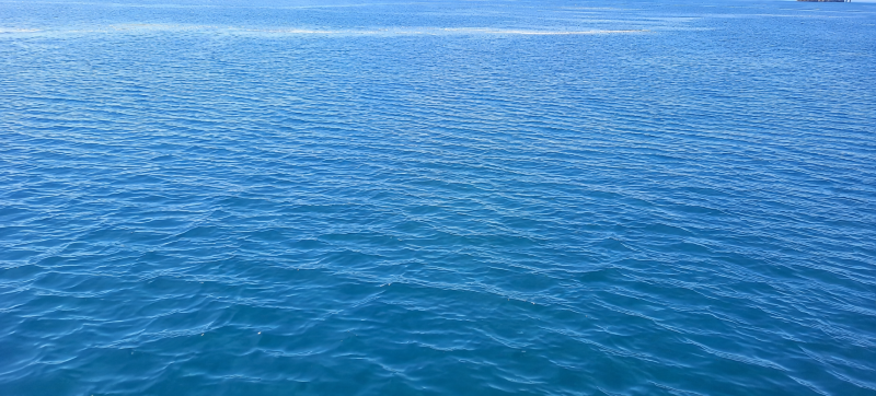 file_000000008c6481f7850e6f7d3e1ec4a4.png