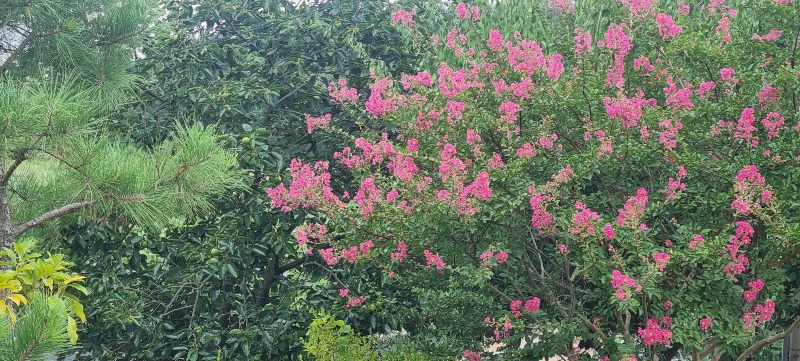 20260809_112009.jpg